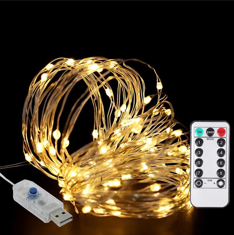 USB Fairy Light LED 2/5/10/20/30m Warm White Wire String Xmas Party Remote Fun USB Plug