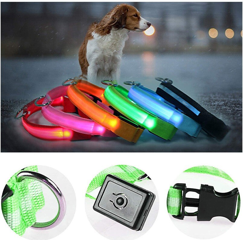 Pet Dog LED Collar Adjustable USB Rechargeable  Flashing Luminous Safe Night UK