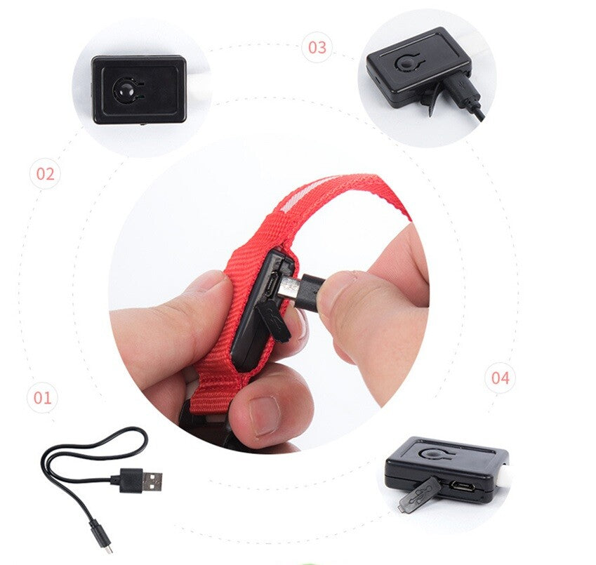 Pet Dog LED Collar Adjustable USB Rechargeable  Flashing Luminous Safe Night UK