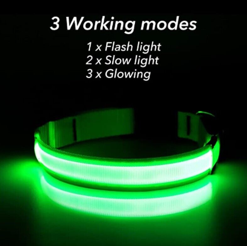 Pet Dog LED Collar Adjustable USB Rechargeable  Flashing Luminous Safe Night UK