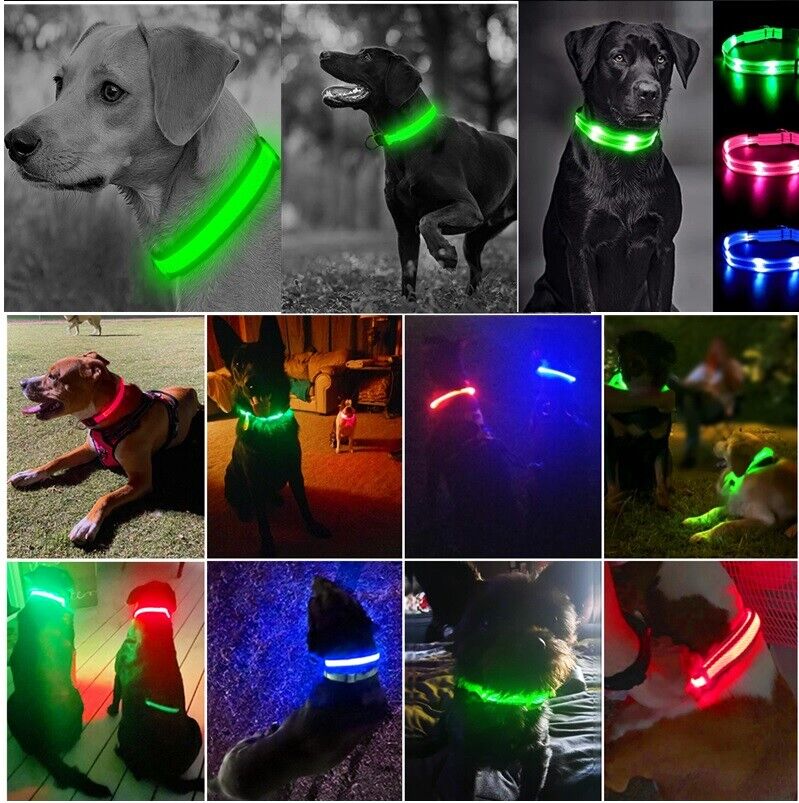 Pet Dog LED Collar Adjustable USB Rechargeable  Flashing Luminous Safe Night UK