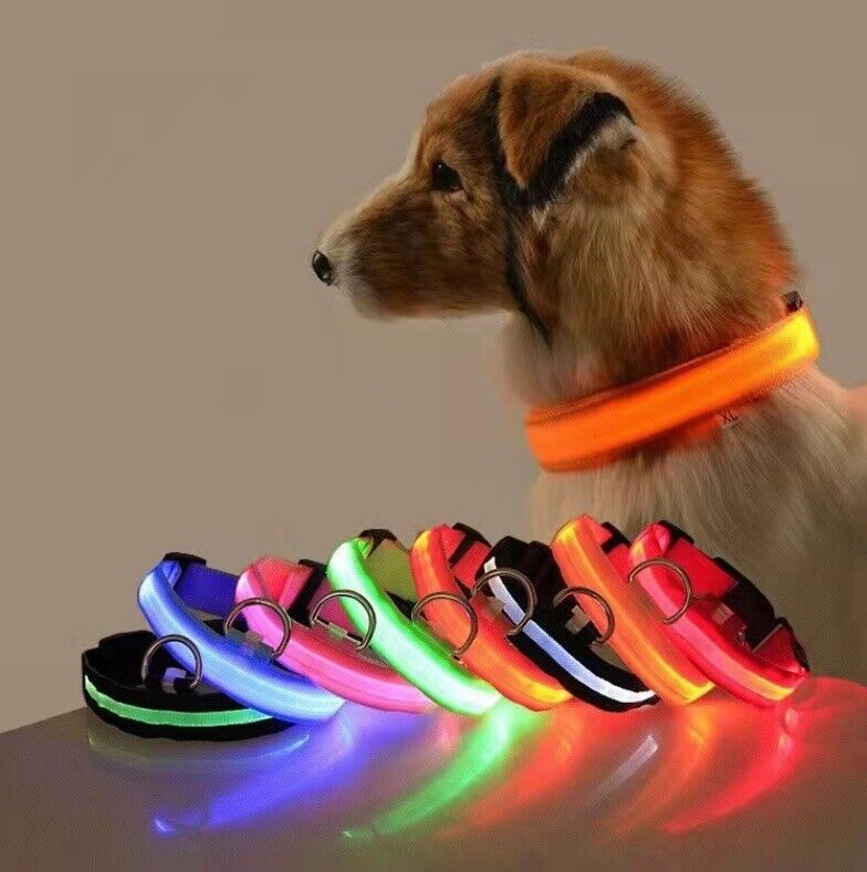 Pet Dog LED Collar Adjustable USB Rechargeable  Flashing Luminous Safe Night UK