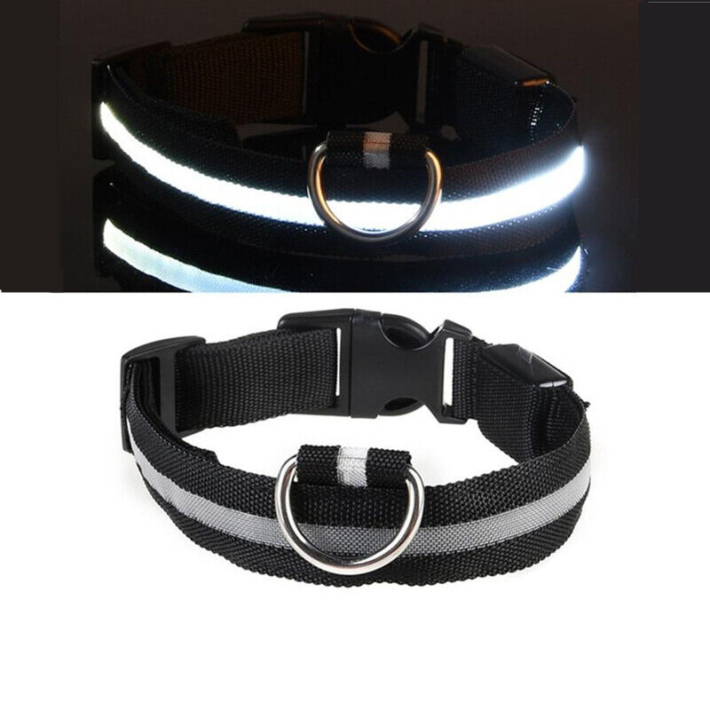 Pet Dog LED Collar Adjustable USB Rechargeable  Flashing Luminous Safe Night UK