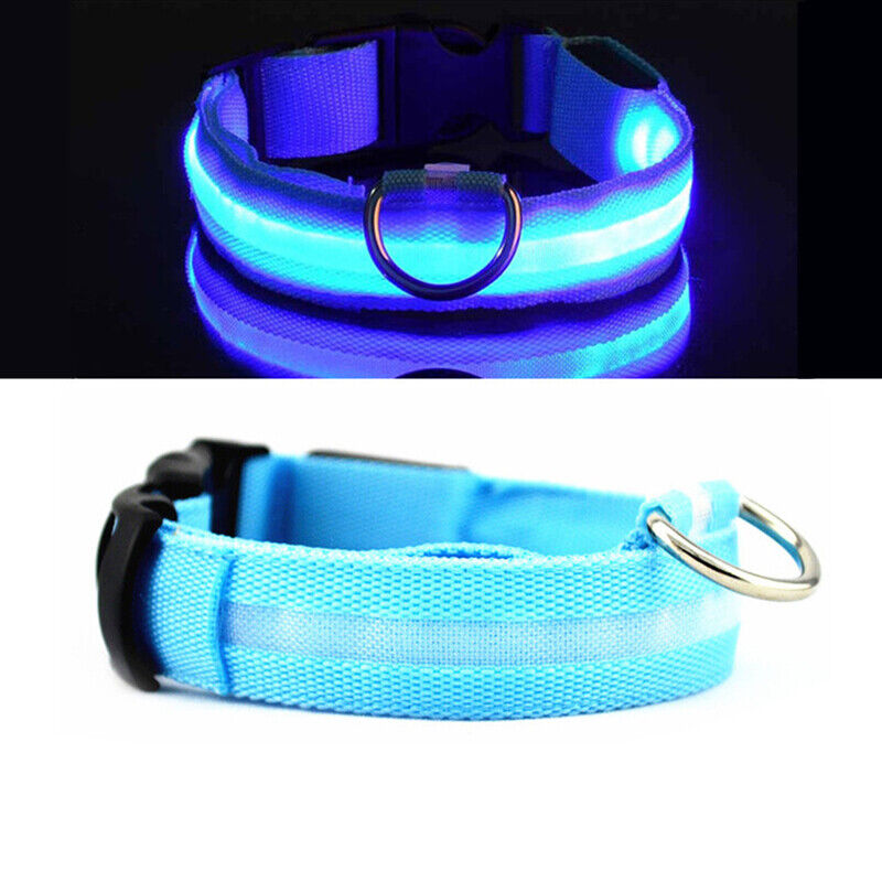 Pet Dog LED Collar Adjustable USB Rechargeable  Flashing Luminous Safe Night UK