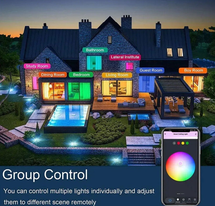 Smart LED Ceiling Light Lamp Colour Changing 30W Alexa Google Bluetooth WIFI RGB