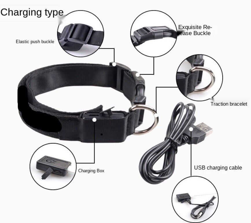 Pet Dog LED Collar Adjustable USB Rechargeable  Flashing Luminous Safe Night UK