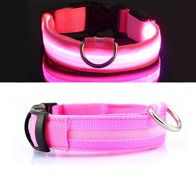 Pet Dog LED Collar Adjustable USB Rechargeable  Flashing Luminous Safe Night UK