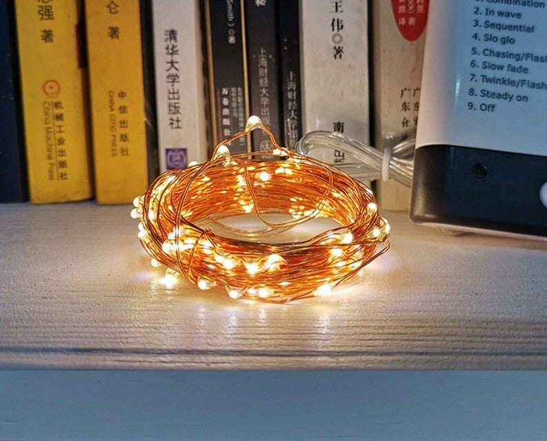 Fairy Lights LED Battery and USB 2 in 1 Remote Control Christmas Copper String